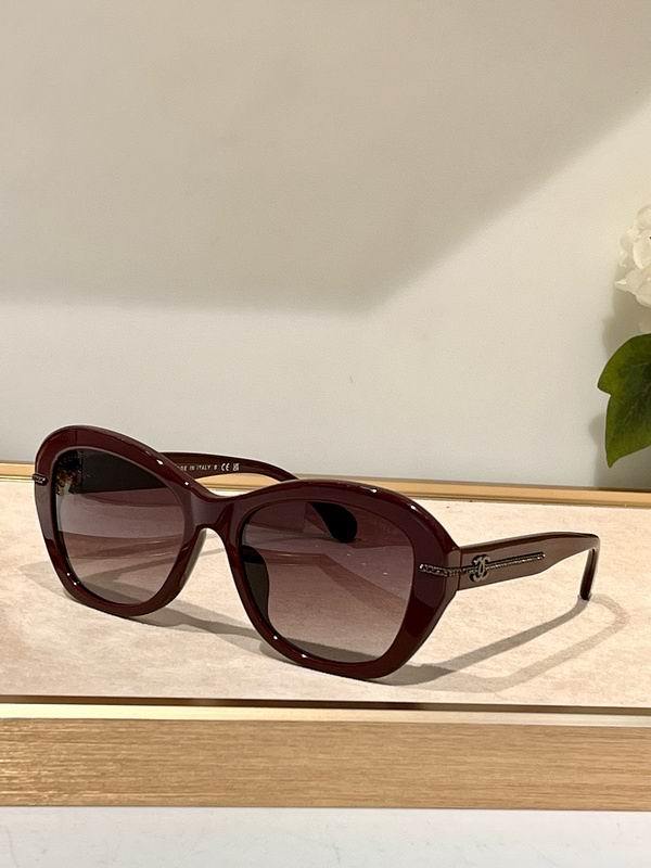 Chanel Sunglasses 501